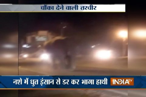 Elephant ran away seeing Drunk man , video goes viral !