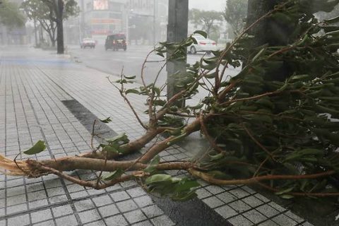 Typhoon Trami injures 50, thousands without power ,readies direct hit on Japan mainland