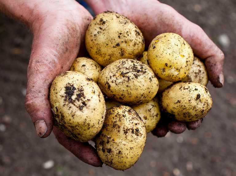5 things you can clean with potatoes